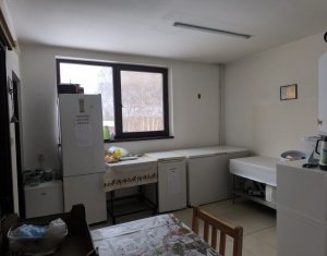 Ház 22 szobák eladó on Caseiu