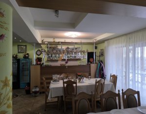 Ház 22 szobák eladó on Caseiu