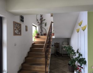 Ház 22 szobák eladó on Caseiu