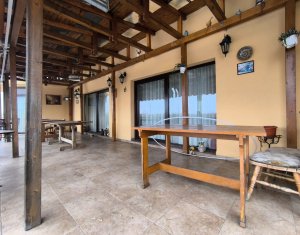 Ház 22 szobák eladó on Caseiu