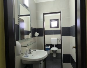 Ház 22 szobák eladó on Caseiu