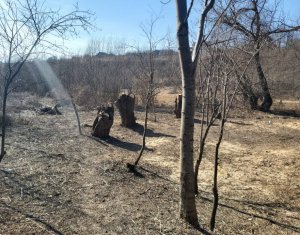 Land for sale in Ciurila