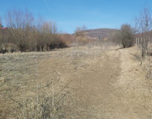 Land for sale in Ciurila