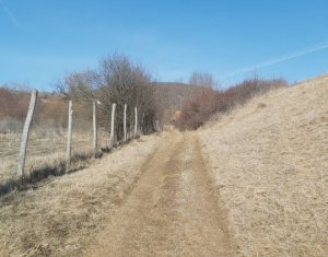 Land for sale in Ciurila