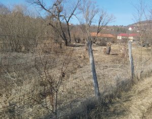 Teren intravilan, 1000 mp, Ciurila