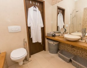 Apartment 2 rooms for rent in Cluj-napoca, zone Centru