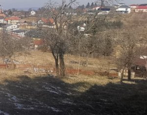 , 1279m2 in Feleacu, zona Centru