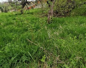 Terrain à vendre dans Feleacu, zone Centru