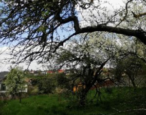 Terrain à vendre dans Feleacu, zone Centru