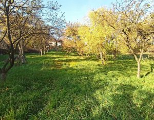 Telek eladó on Cluj-napoca, Zóna Dambul Rotund