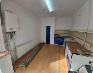 Maison 3 chambres à louer dans Cluj-napoca, zone Gheorgheni