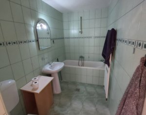 Maison 3 chambres à louer dans Cluj-napoca, zone Gheorgheni