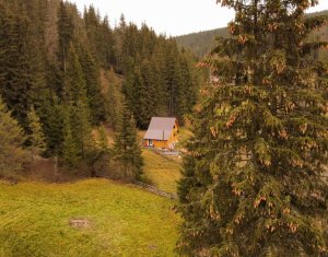 , 76m2 on Poiana Horea