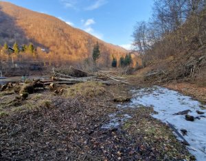 Teren Intravilan de Vânzare – 3279 MP – Coada Lacului Tarnița