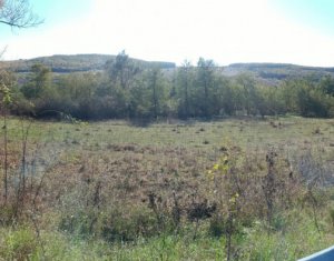 Teren extravilan de vânzare în Vultureni Cluj