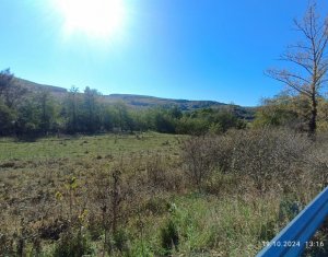 Teren extravilan de vânzare în Vultureni Cluj