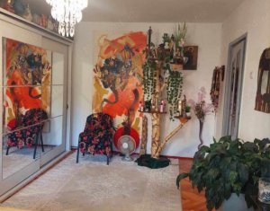  on Cluj-napoca, Zóna Zorilor