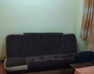 Appartement 1 chambres à louer dans Cluj-napoca, zone Andrei Muresanu