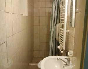 Appartement 1 chambres à louer dans Cluj-napoca, zone Andrei Muresanu