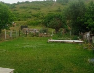 Ház 5 szobák eladó on Viisoara