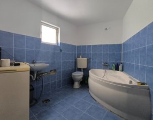 Maison 5 chambres à vendre dans Cluj-napoca, zone Gruia