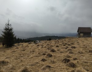 Teren intravilan, Balcesti, view spectaculos!