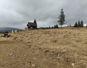 Teren intravilan, Balcesti, view spectaculos!