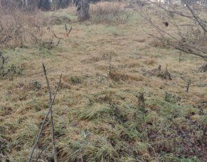 , 500m2 dans Cluj-napoca