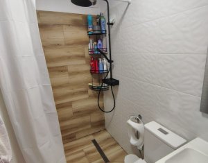 Apartament cu 3 camere, mobilat si utilat, zona Tineretului, Floresti