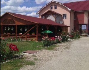 Ház 11 szobák eladó on Jucu De Sus