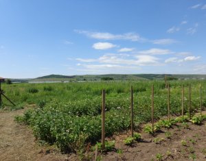 Ház 11 szobák eladó on Jucu De Sus