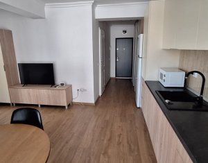 Appartement 2 chambres à louer dans Cluj-napoca, zone Dambul Rotund