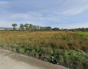 , 5000m2 in Cluj-napoca, zona Sopor