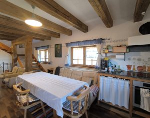 Casa rustica, exclusivista, 5 camere, 170 mp utili, 550 mp teren, Salicea