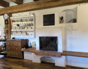 Casa rustica, exclusivista, 5 camere, 170 mp utili, 550 mp teren, Salicea