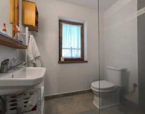 Casa rustica, exclusivista, 5 camere, 170 mp utili, 550 mp teren, Salicea