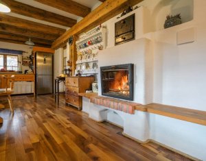 Casa rustica, exclusivista, 5 camere, 170 mp utili, 550 mp teren, Salicea