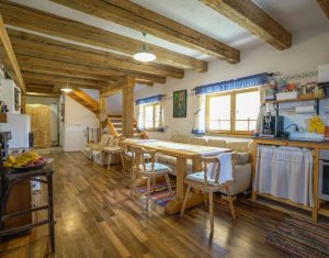 Casa rustica, exclusivista, 5 camere, 170 mp utili, 550 mp teren, Salicea