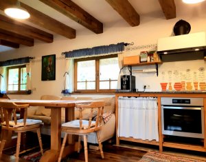 Casa rustica, exclusivista, 5 camere, 170 mp utili, 550 mp teren, Salicea