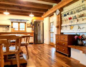 Casa rustica, exclusivista, 5 camere, 170 mp utili, 550 mp teren, Salicea