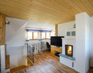 Casa rustica, exclusivista, 5 camere, 170 mp utili, 550 mp teren, Salicea