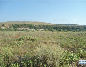 , 6186m2 in Floresti