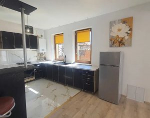 Maison 4 chambres à louer dans Cluj-napoca, zone Buna Ziua