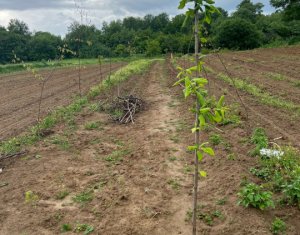 Telek eladó on Saliste