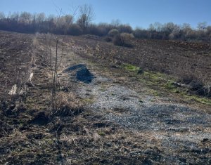 Telek eladó on Saliste