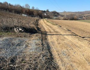 Telek eladó on Saliste