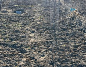 Telek eladó on Saliste