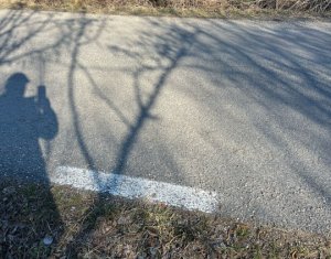 Telek eladó on Saliste