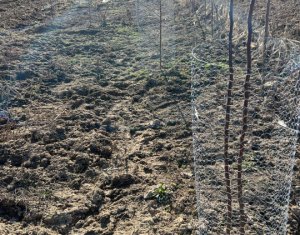 Telek eladó on Saliste