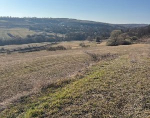 Telek eladó on Saliste